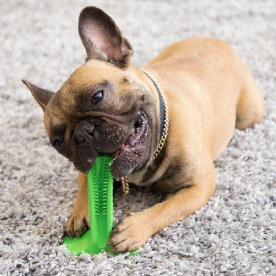Dental Care Chewing Toy