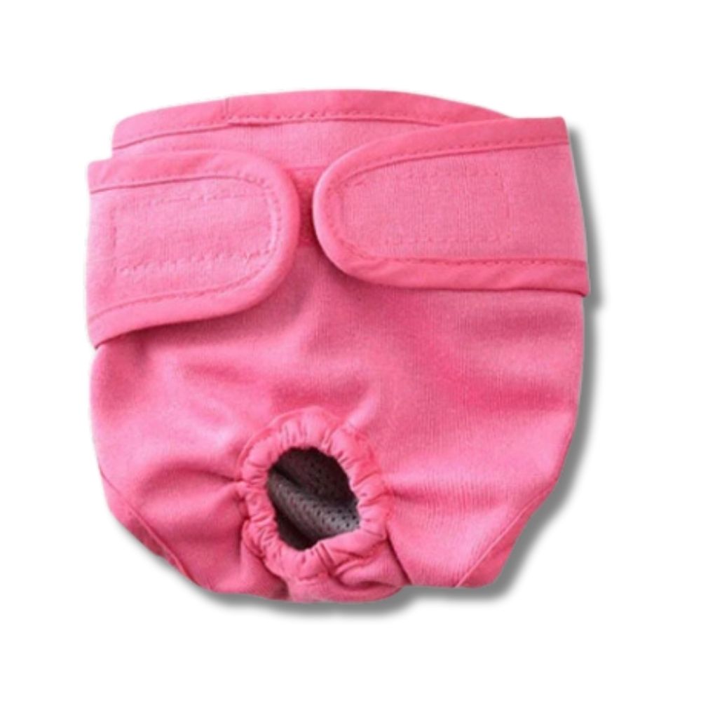 Pet Velcro Underwear – BarksWorld